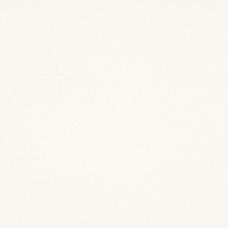 16649798881901-cottodestebodenblackwhite100x100snowplus31000x1000x35