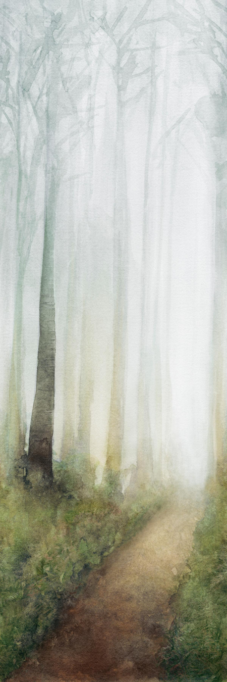 16649820906889-cottodestebodenwonderwall100x300dreamb3plus3000x1000x35