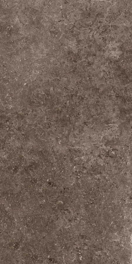 16650536479155-cottodestebodensecretstone60x120raredarknatrtt600x1200