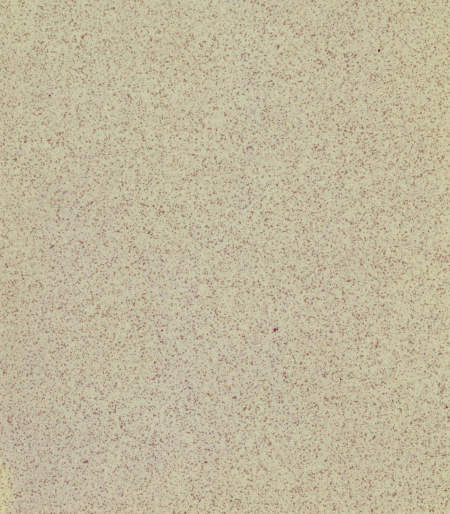 16686055543016-casalgrandebodengranito120x20sahara