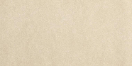 16757910496588-fapbodensheergresporcellanato30x60rtsheer30x60beigemattr10