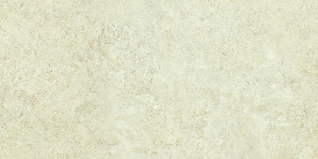 16769825458053-emilceramicabodenlandscape30x6030x60landscapeavoriosilktechrt