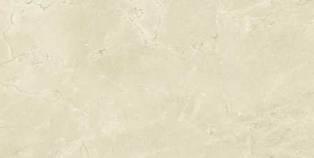 16769843046419-emilceramicabodenteledimarmoreloaded30x60300x600tmreloadedmarfilordoneznatrt