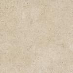 16800853602316-marazzibodencaracter100x100caracterstrrt