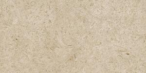 16800854067126-marazzibodencaracter30x60caracterstr