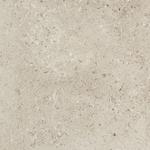 16800876655618-marazzibodenmystonegrisfleury2060x60grisfleury20mm