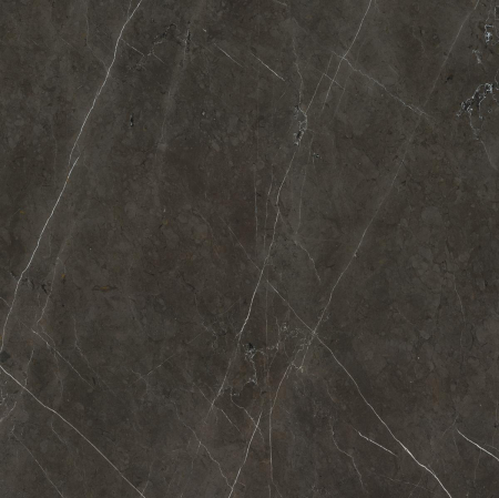 1684229894897-caesarbodenanima60x60rt4pz