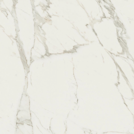 1684229899211-caesarbodenanima60x60rt4pz