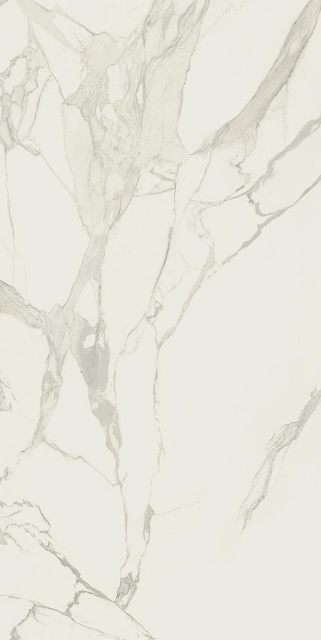 16842299193238-caesarbodenanima160x320silk