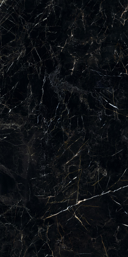 16842299221088-caesarbodenanima160x320silk