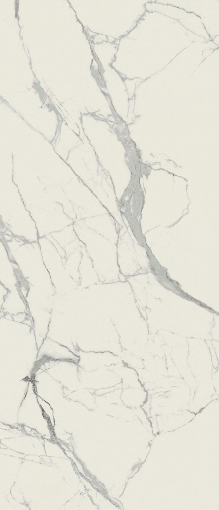 16842299243994-caesarbodenanima120x278silk