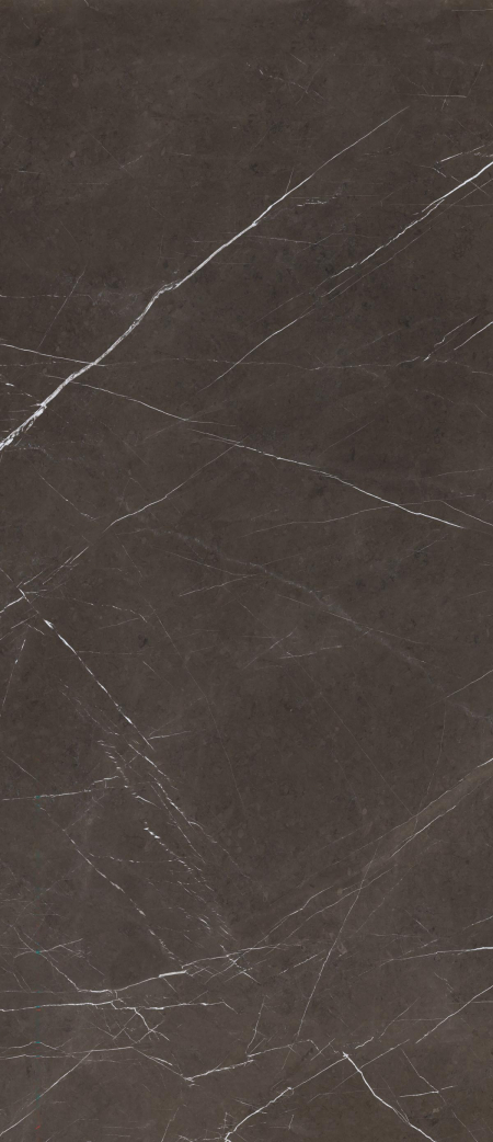 1684229929974-caesarbodenanima120x278silk