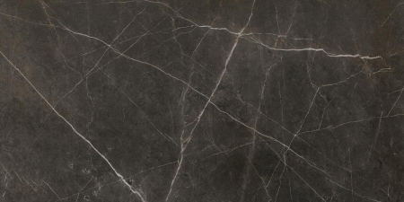 16842299525959-caesarbodenanima60x120lucidato