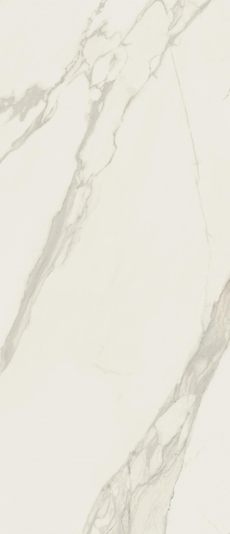 16842299814639-caesarbodenanima120x278lucidato