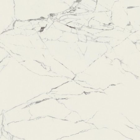 16842299888001-caesarbodenanima120x1201195lucidato