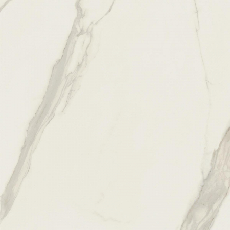 16842299904621-caesarbodenanima120x1201195lucidato