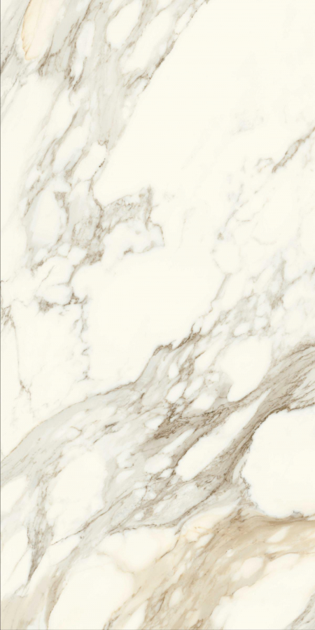16842300081017-caesarbodenanimaever60x120rtmatt
