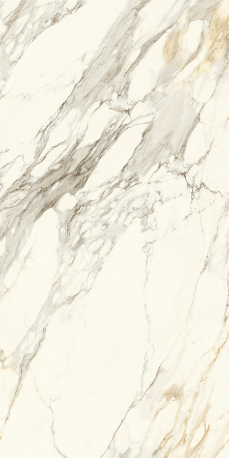 16842300144233-caesarbodenanimaever160x320silk
