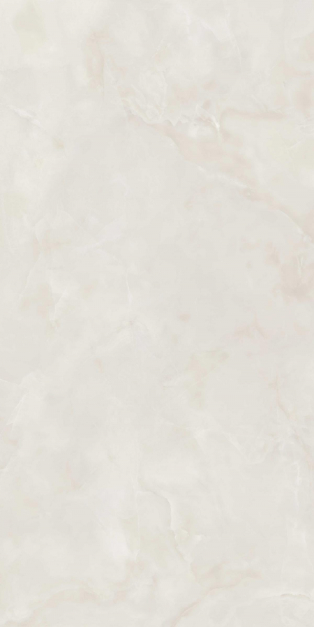16842300300672-caesarbodenanimaever80x160lucidato