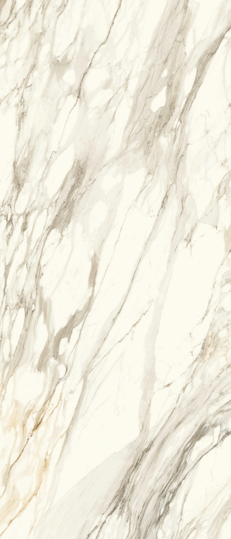 16842300480614-caesarbodenanimaever120x278lucidato