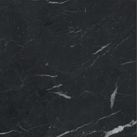 16842300992109-caesarbodenanimafutura60x60mattrt