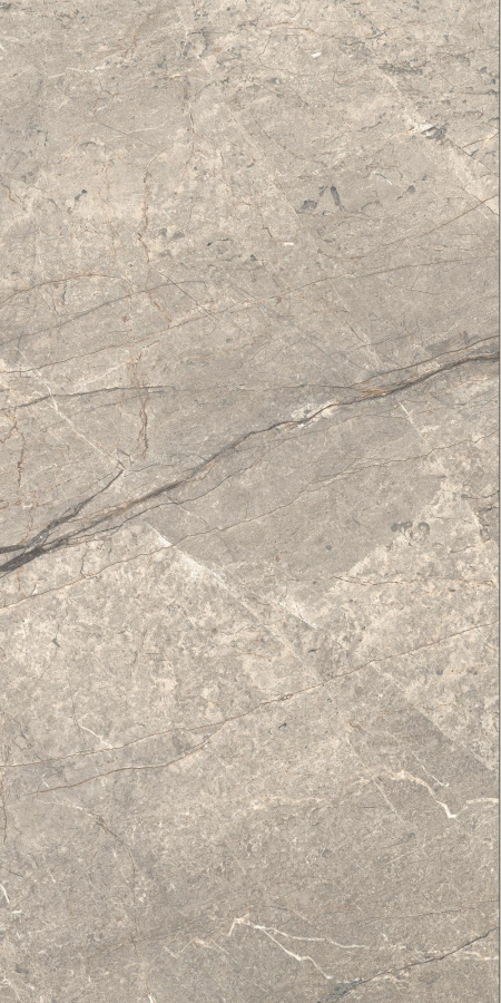 16842301061199-caesarbodenanimafutura60x120mattrt
