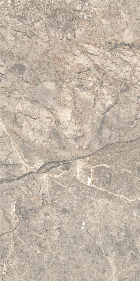 16842301142843-caesarbodenanimafutura30x60mattrt
