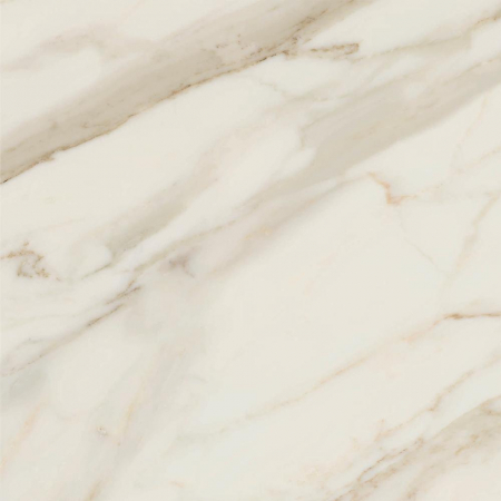 1684230128239-caesarbodenanimafutura60x60lucidatort