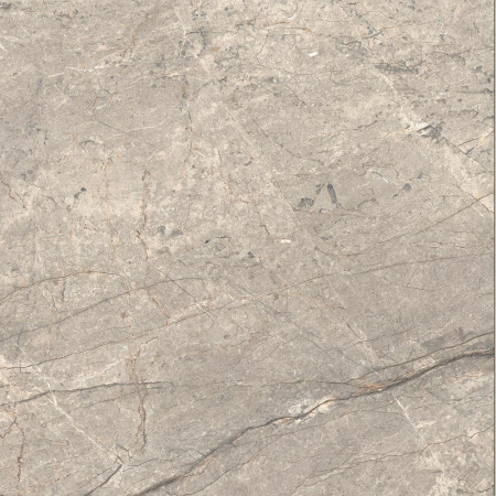 16842301321101-caesarbodenanimafutura60x60lucidatort