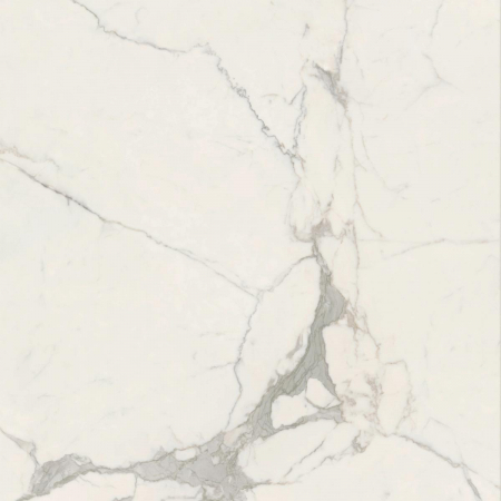 16842301890057-caesarbodenanimafutura120x1201195lucidatort