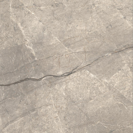16842301931246-caesarbodenanimafutura120x1201195lucidatort