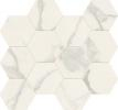 16842302289594-caesarbodenanimafutura285x33compesagonoluc