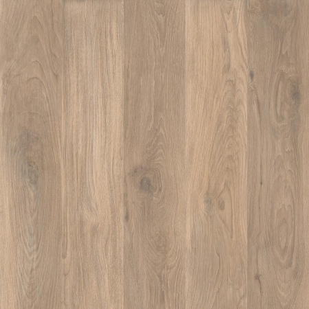 16843150051112-caesarbodencocoon60x60extragriprt