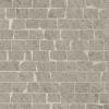16843151221999-caesarbodencore30x30composizionears