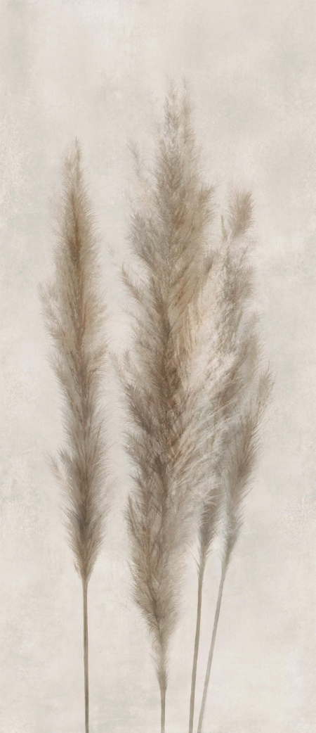 16843151539071-caesarbodendecosolutions120x278mattfacciac