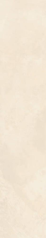 16843155454217-caesarbodenjoin117x60mattrt