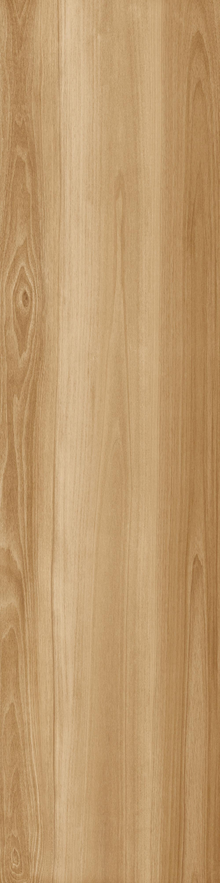 16843157443041-caesarbodenlifecae30x120extragriprt