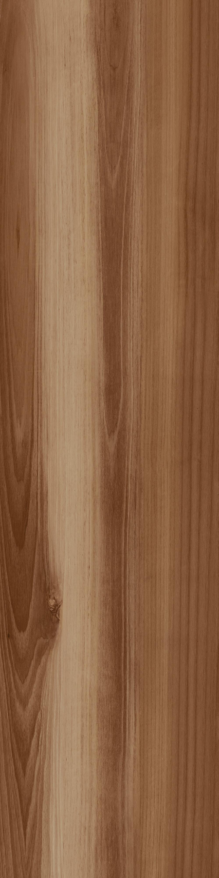 16843157468865-caesarbodenlifecae30x120extragriprt