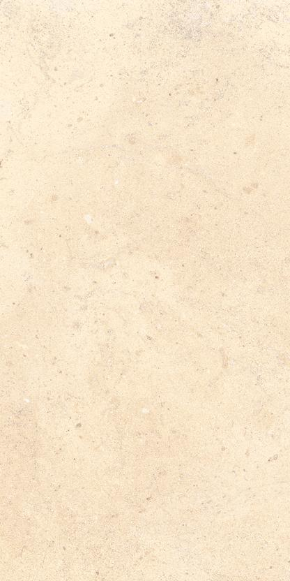 16843158244095-caesarbodenmaterica225x453gripnr
