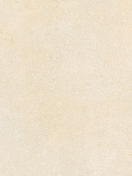 16843164428579-caesarbodenshapesofit40x60mattrt