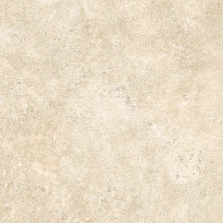 16843164932982-caesarbodenshapesofit225x225mattout