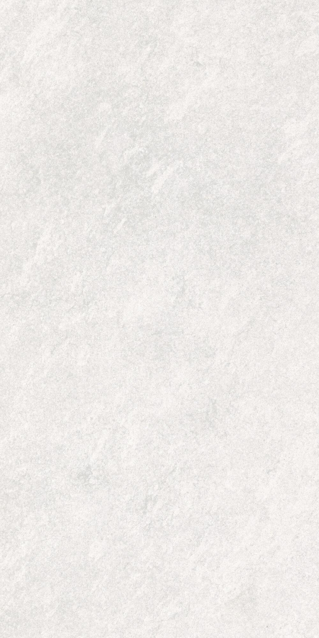 16843166137875-caesarbodenslab30x60mattnr