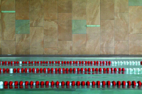 16536718182442-casalgrandebodenamazzonia45x90dragonbrowngrip20mm