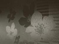 16649807807337-cottodestebodenkerlitebuxy100x300cendreplus3000x1000x35
