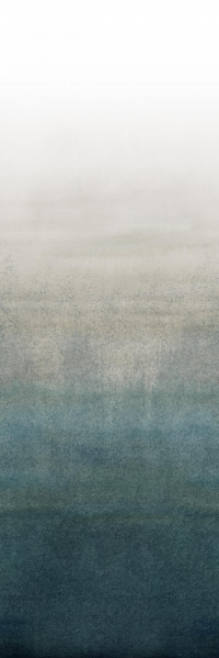 16649820740599-cottodestebodenwonderwall100x300colorballeta3plus3000x1000