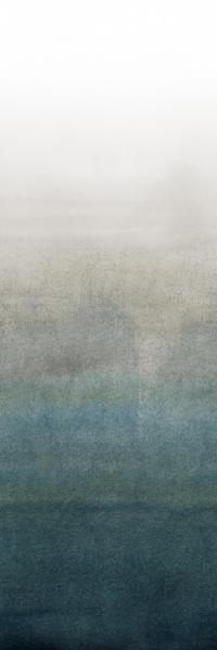 16649820788113-cottodestebodenwonderwall100x300colorballetb3plus3000x1000
