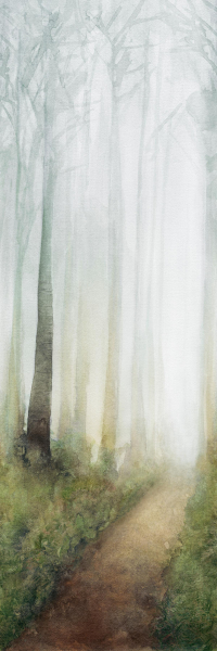 16649820906889-cottodestebodenwonderwall100x300dreamb3plus3000x1000x35