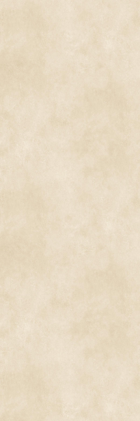 16650481798484-cottodestebodenkerliteover100x300openspaceplus3000x1000x35