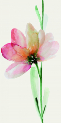 16650493874327-cottodestebodenwonderwall50x100fleurb3plus500x1000