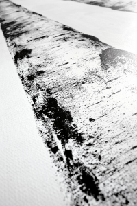 16650496360038-cottodestebodenwonderwall100x300ritmic33plus3000x1000